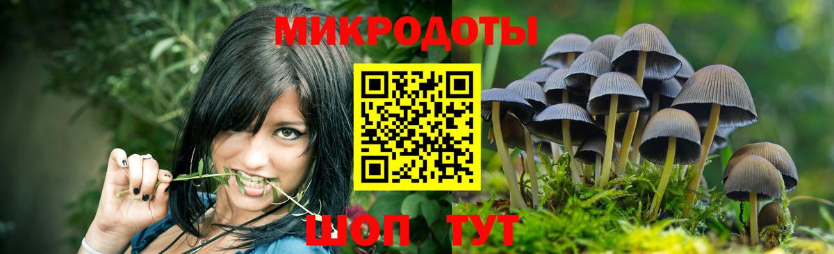 Галлюциногенные грибы ЛСД Братск